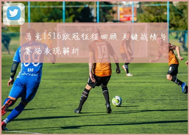 马竞1516欧冠征程回顾 关键战绩与赛场表现解析