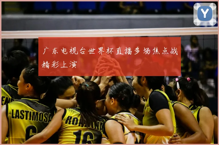 广东电视台世界杯直播多场焦点战精彩上演