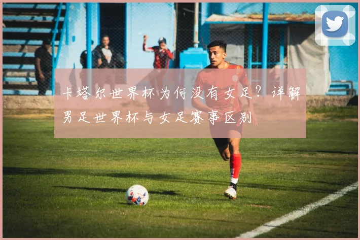 卡塔尔世界杯为何没有女足？详解男足世界杯与女足赛事区别